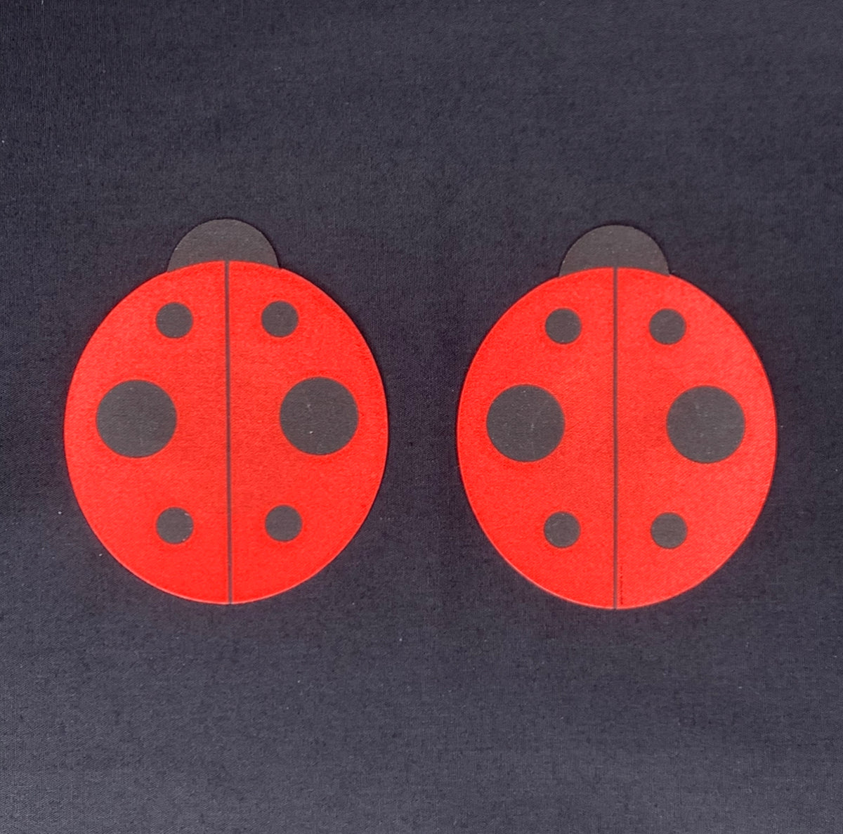 Lady Bug Pasties