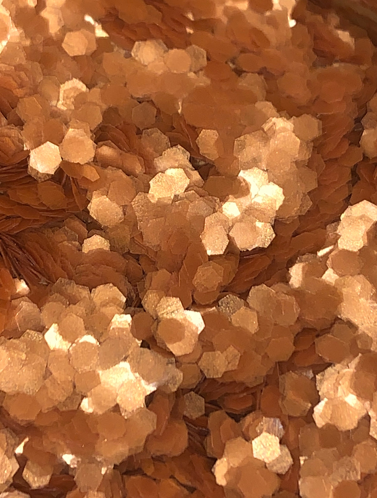 STARGAZE BIODEGRADABLE GLITTER
