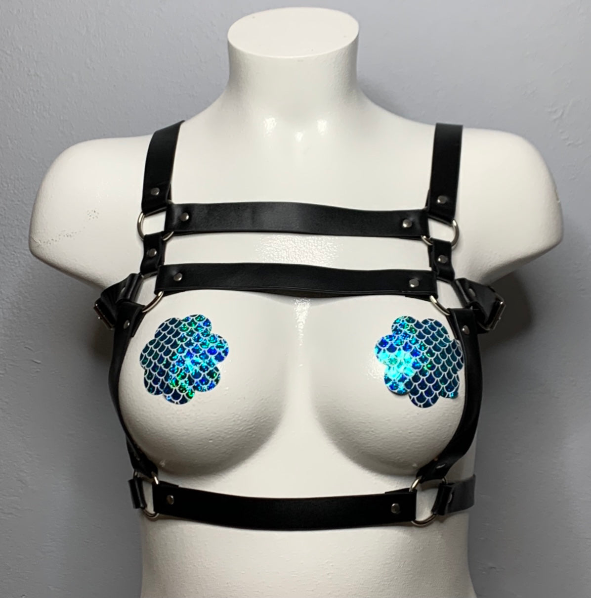 Harnesses