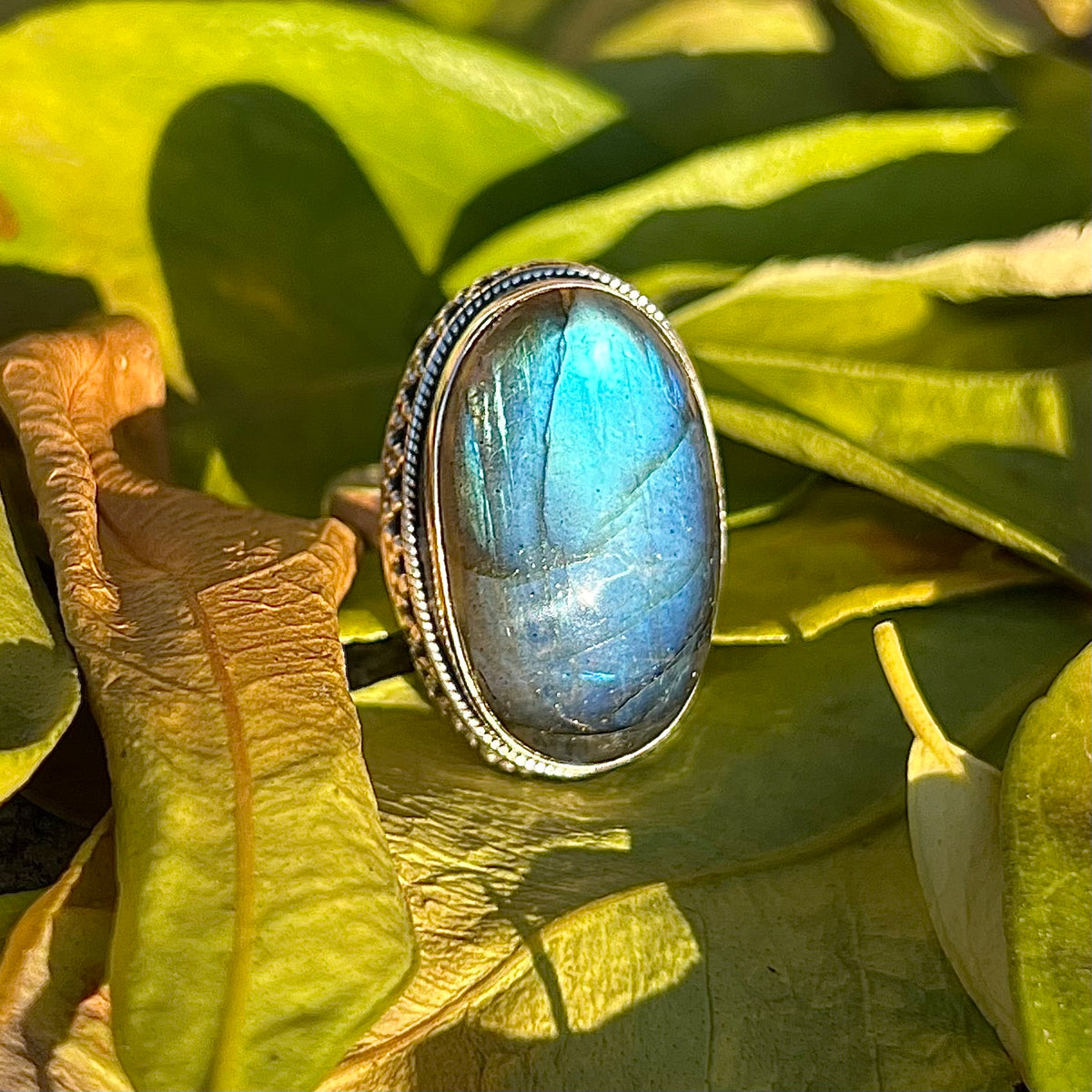 RINGS